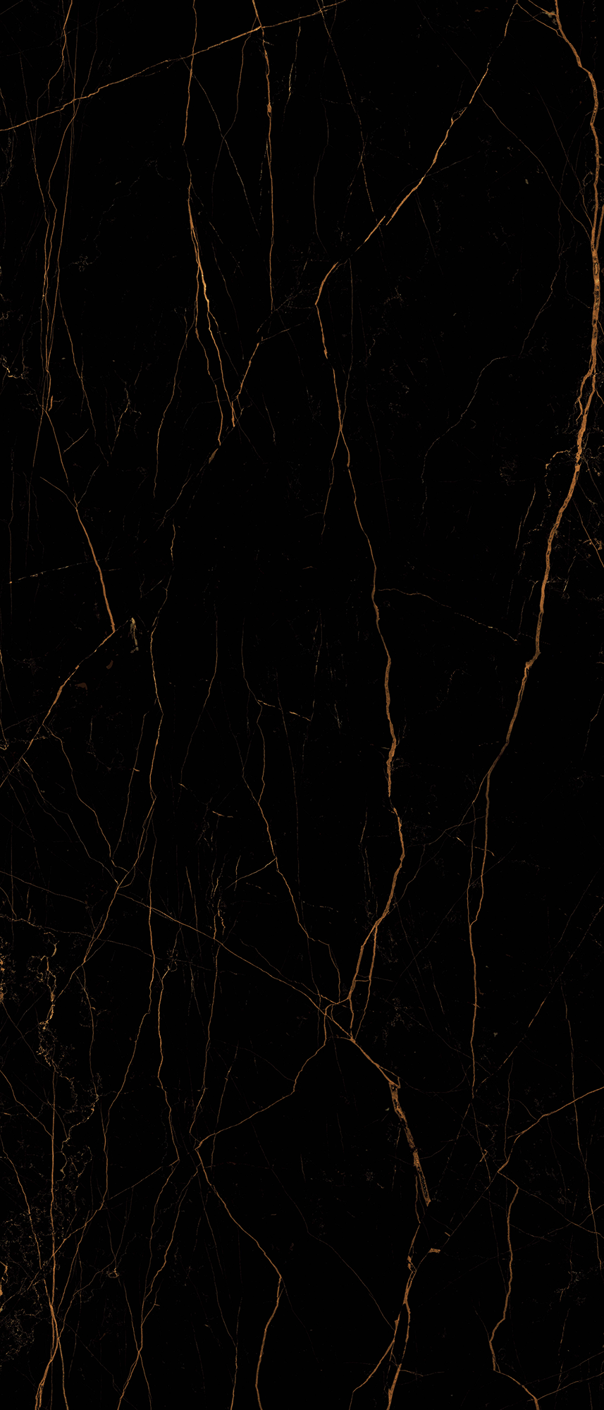 Noir Saint Laurent