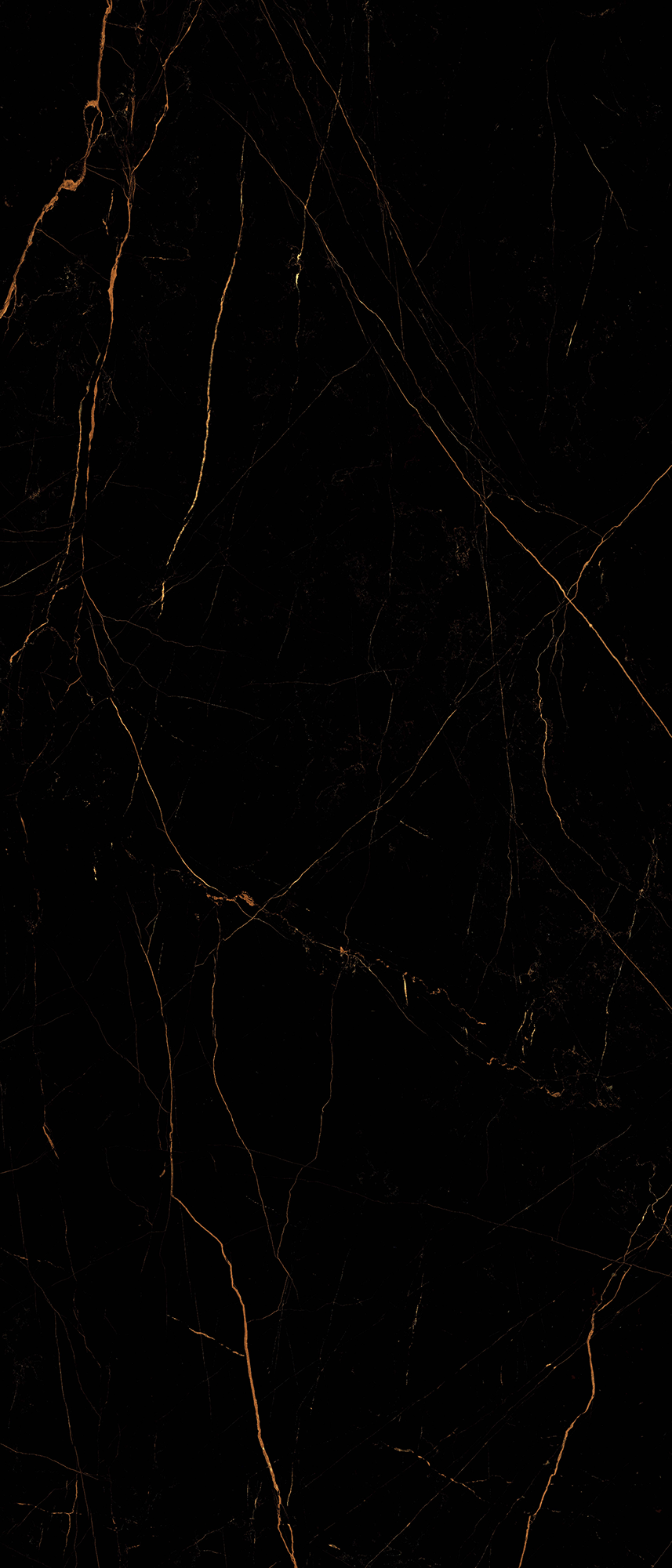 Noir Saint Laurent