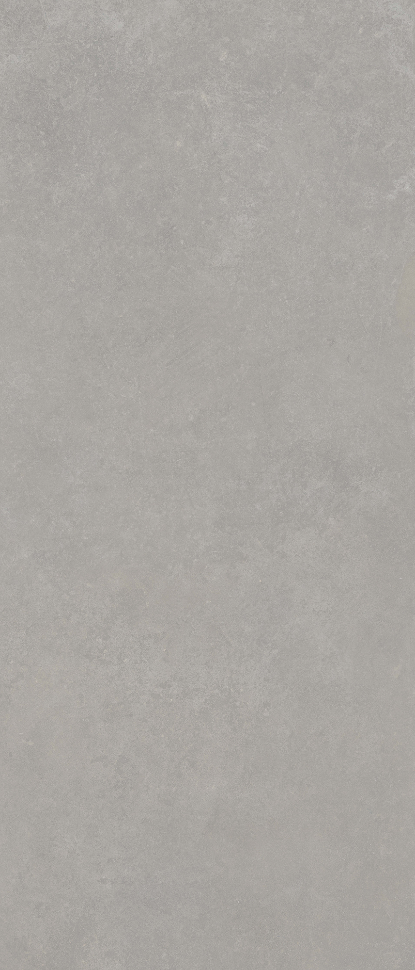 Timora Gris